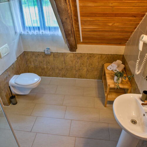 Camera tripla cu duș