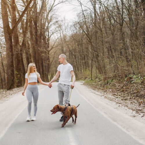 Pokój 2-osobowy Economy z prysznicem