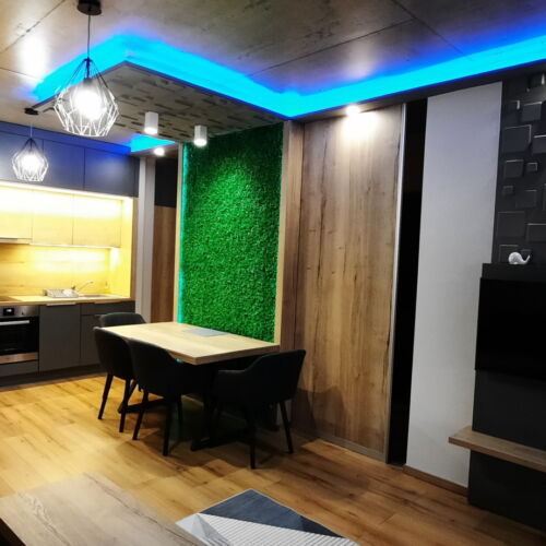 Premium 2-Zimmer-Apartment für 5 Personen Obergeschoss