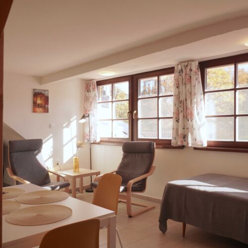 Apartament 4-osobowy Komfort udogodnienia dla niepełnosprawnych z 1 pomieszczeniem sypialnianym