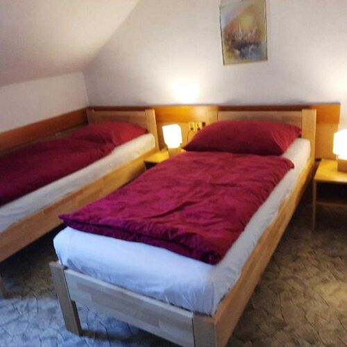 Pokoj se sprchou  pro 2 os.