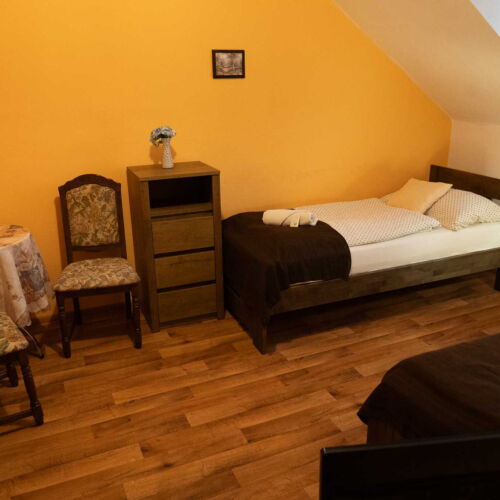 Pokoj se sprchou  pro 2 os.