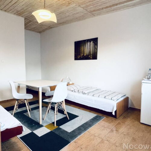 Pokój 3-osobowy z prysznicem z dostępem do ogrodu