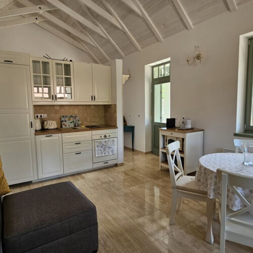 Apartman s jacuzzi s manželskou postelí s 1 ložnicí s výhledem na hory (s možností přistýlky)