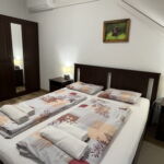 Standard Klimatiziran soba sa francuskim krevetom (za 2 osoba(e))