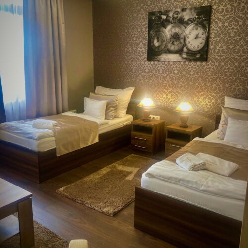 Camera twin la etaj cu vedere spre grădină