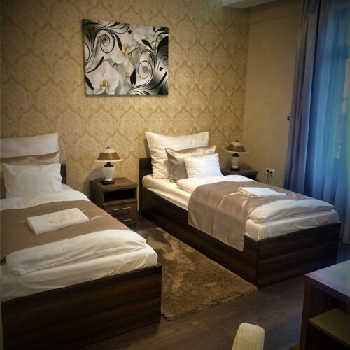 Camera twin la etaj cu vedere spre grădină