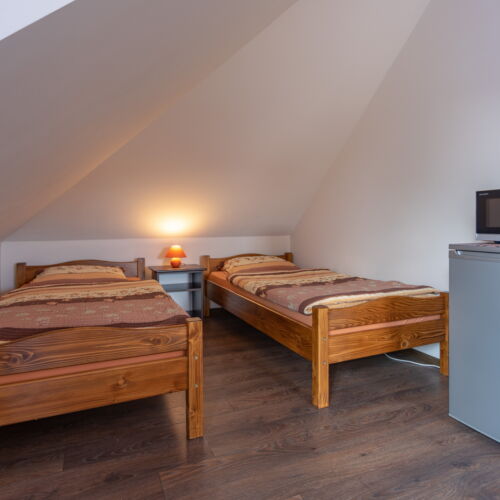 Forest View Mountain View 5 Person Room