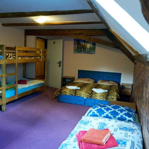 7 Person Room with Shower