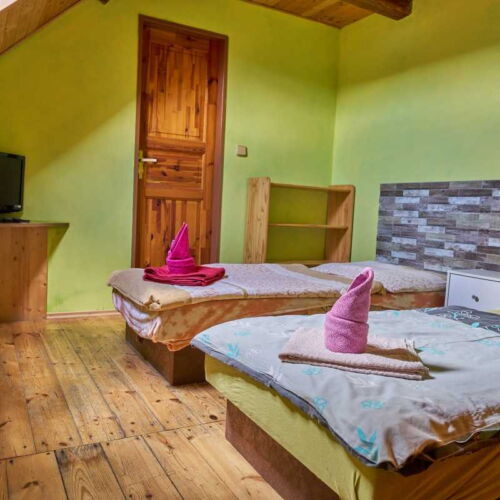 Economy Twin Room