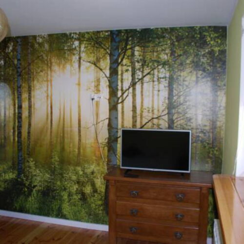 Pokój 2-osobowy z łazienką z telewizorem LCD/plazmą