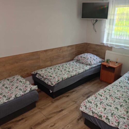 Pokój 3-osobowy na parterze z widokiem na park