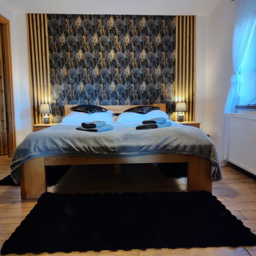 1-Room Apartment for 2 Persons (extra bed available)