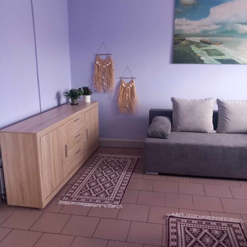 Apartament 2-osobowy na parterze Studio z 1 pomieszczeniem sypialnianym (możliwa dostawka)