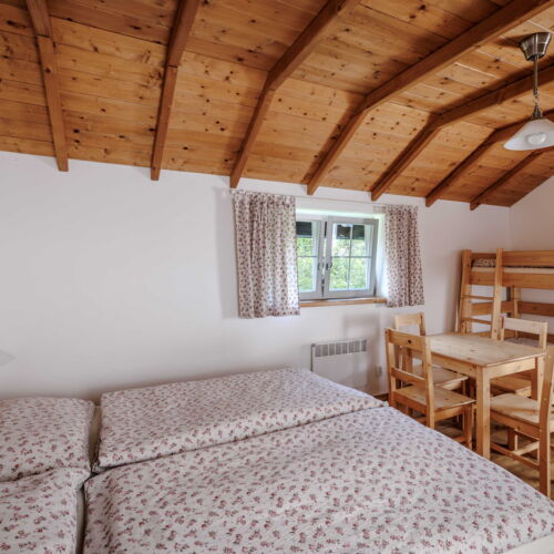 Apartament family depandance cu 1 camera pentru 4 pers.