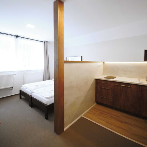 Pokoj se sprchou s privátní koupelnou mimo apartmán pro 2 os.