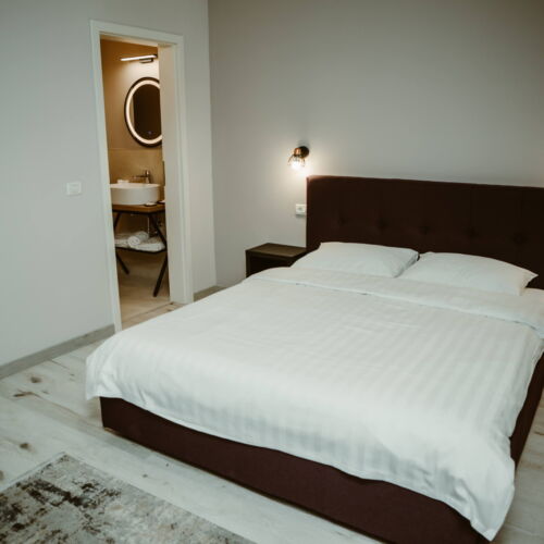 Camera dubla la parter cu vedere spre curte