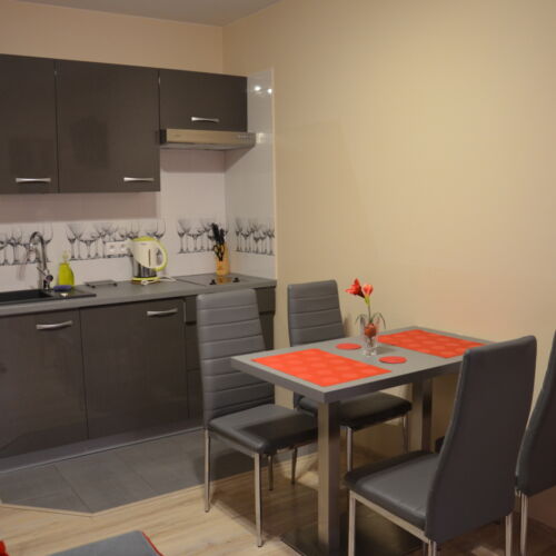 Apartament 4-osobowy z 2 pomieszczeniami sypialnianymi (możliwa dostawka)