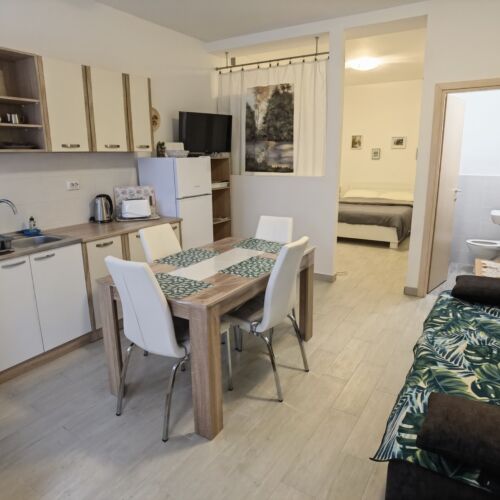 Studio Apartman s klimatizací s manželskou postelí s 1 ložnicí (s možností přistýlky)