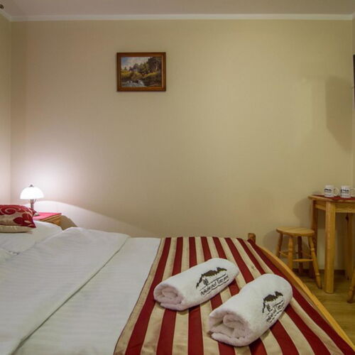 Pokój 2-osobowy z widokiem na góry