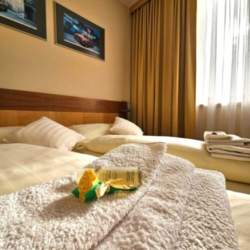 Twin Room with Shower and Shared Kitchenette (extra bed available)