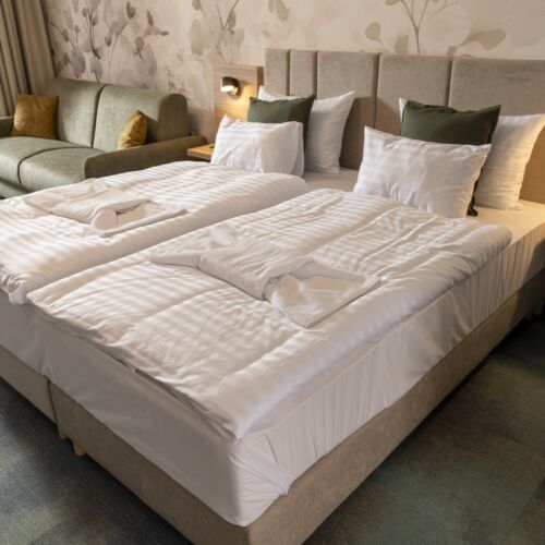 Pokój 2-osobowy z klimatyzacją z prysznicem (możliwa dostawka)