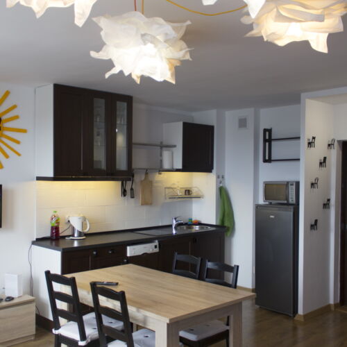 Apartament studio cu vedere spre parc cu 1 camera pentru 2 pers.