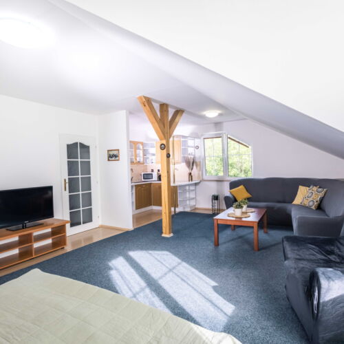 5 Person Room with Shower