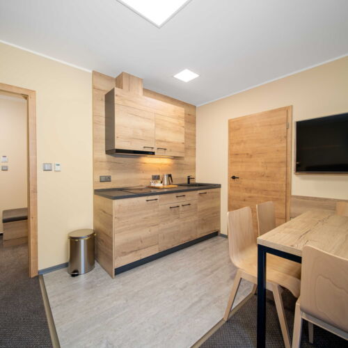 Deluxe 1-Room Balcony Apartment for 2 Persons (extra beds available)
