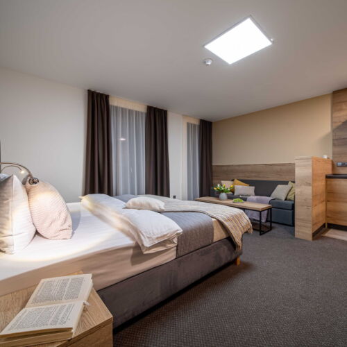 Standard 1-Room Apartment for 2 Persons (extra beds available)