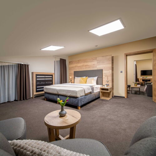 Superior 2-Room Apartment for 4 Persons (extra beds available)