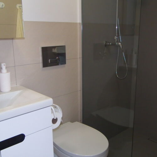 Apartament 4-osobowy Przyjazny podróżom rodzinnym z łazienką z 1 pomieszczeniem sypialnianym