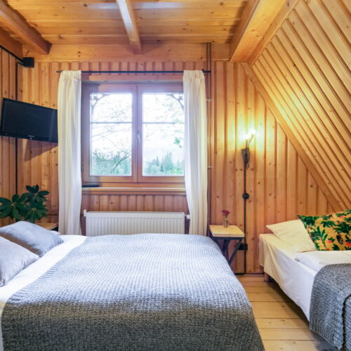 Camera twin cu baie cu vedere spre munte