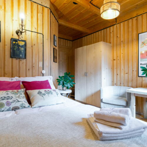 Camera dubla cu baie cu vedere spre grădină