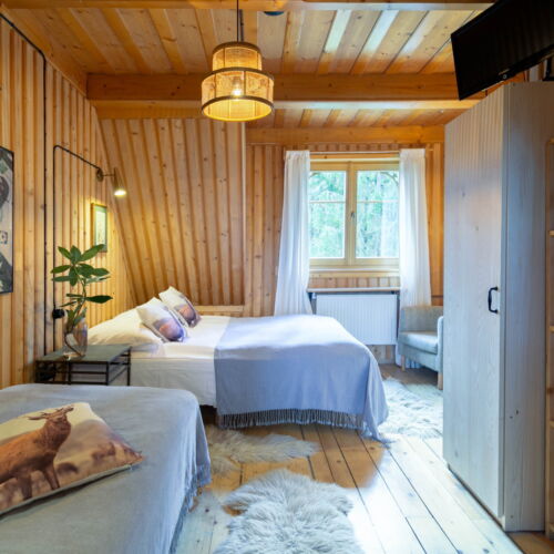 Camera studio family pentru 7 pers.