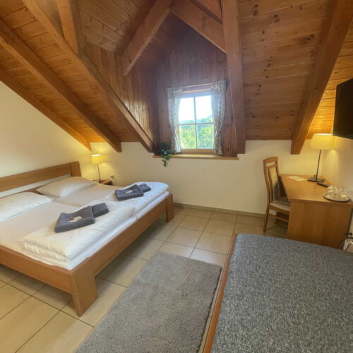 Family Pokoj se sprchou pro 3 os.