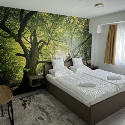 Pokoj tV s plochou obrazovkou s klimatizací s manželskou postelí