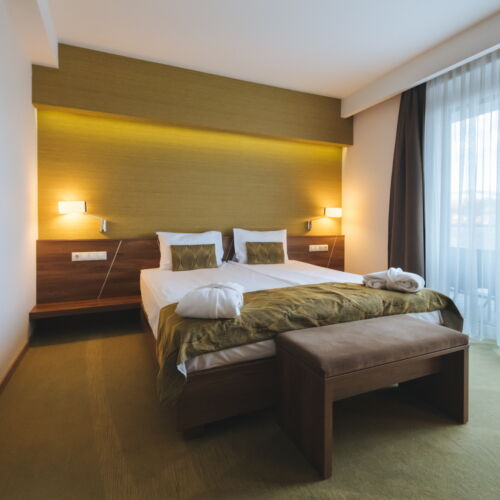 Pokój 2-osobowy Premia z widokiem na ogród