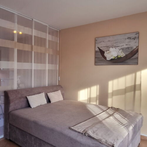 Standard Apartman pro 4 os. s 1 ložnicí s výhledem na jezero