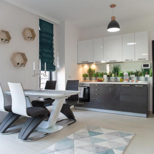 Deluxe 2-Room Apartment for 4 Persons