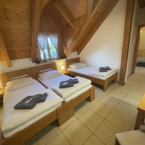 Pokoj se sprchou  pro 3 os.