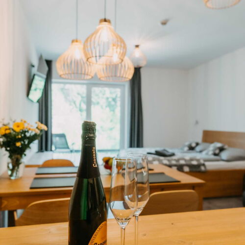 Apartman se sprchou s vlastní kuchyňkou pro 2 os. (s možností přistýlky)