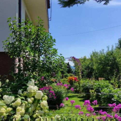 Pokój 3-osobowy z dostępem do ogrodu z widokiem na góry