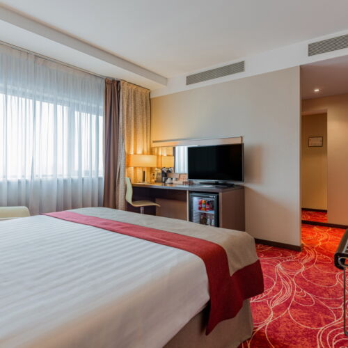 Camera dubla standard