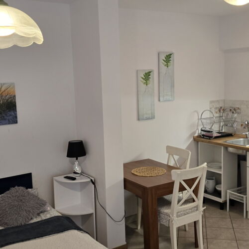 Pokój 2-osobowy Standard z aneksem kuchennym (możliwa dostawka)