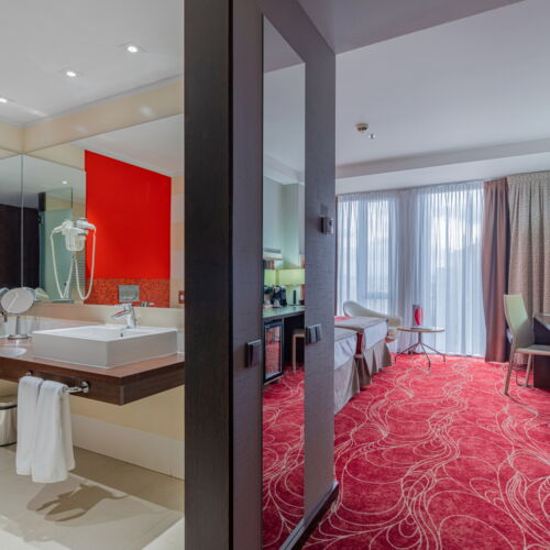 Camera twin standard