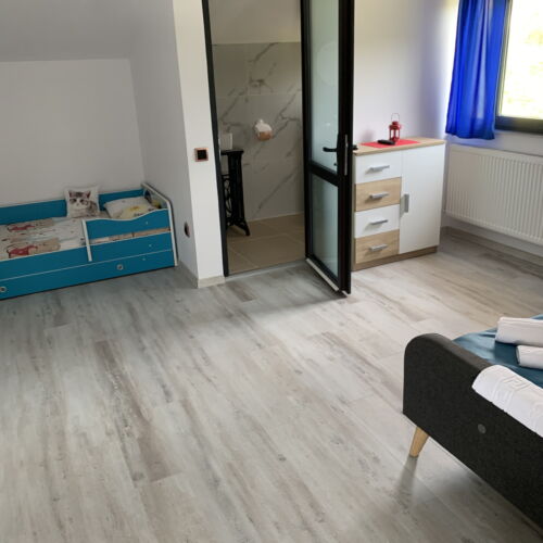 Camera dubla la mansardă (se poate solicita pat suplimentar)