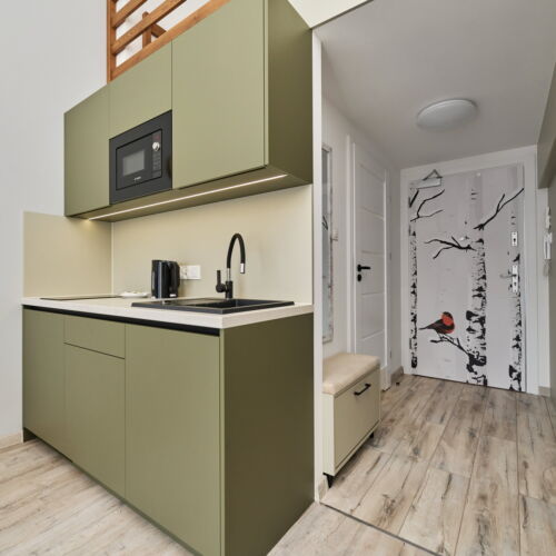 Apartament 4-osobowy z prysznicem cały dom z 1 pomieszczeniem sypialnianym