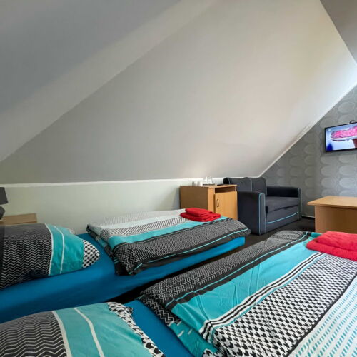 Pokoj se sprchou  pro 3 os.