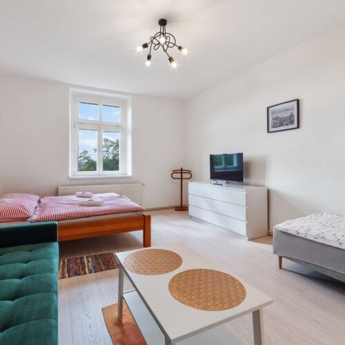 King 1-Room Apartment for 5 Persons with Kitchenette